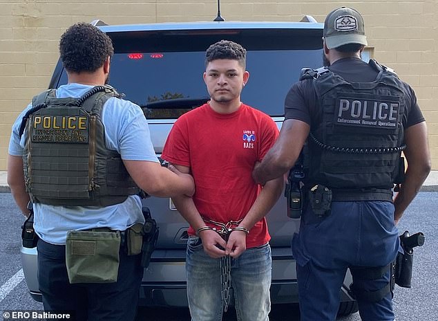 Guatemalan Henry Argueta-Tobar, 19, was arrested yesterday after being convicted of raping a Maryland resident last month. Local authorities released him after his arrest, ignoring ICE's request for his detention