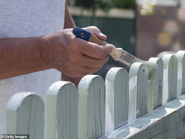 Timber, construction and fencing company Lawsons has shared information about who is allowed to paint a fence when it concerns neighbours (file image)