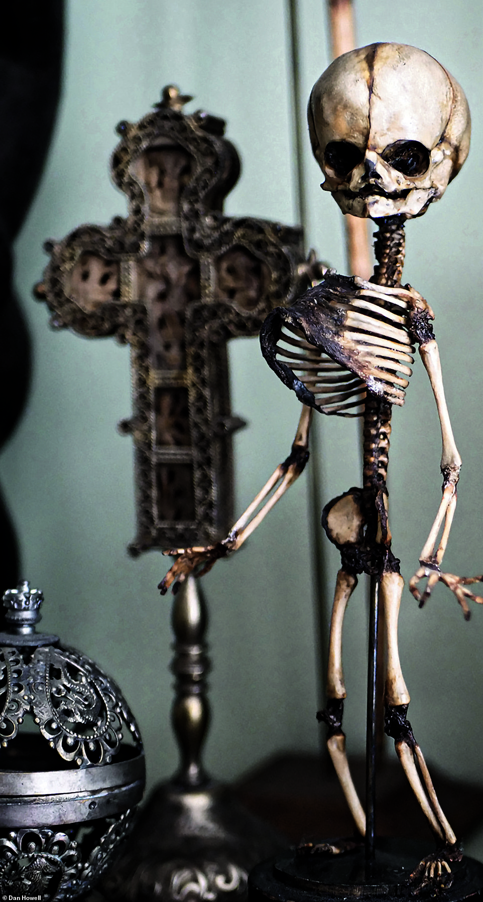 An extremely rare Victorian fetal skeleton in Regina and Ryan Cohn's Connecticut home