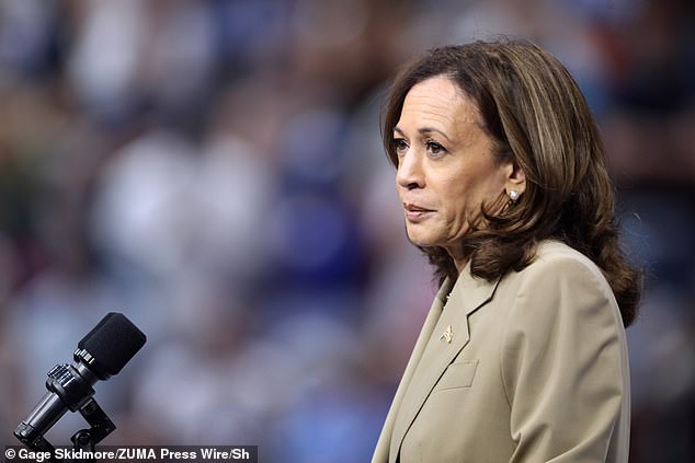 Vice President Kamala Harris speaks to the crowd during a rally at the Desert Diamond Arena in Glendale, Arizona on Friday