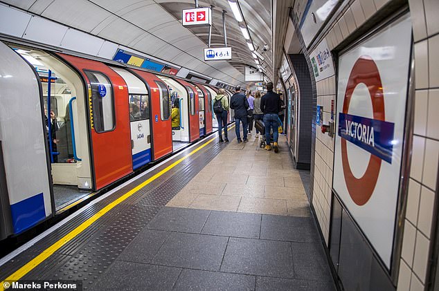 The Victoria line - which runs between Brixton and Walthamstow Central - was the most popular line on the London Underground in summer 2023