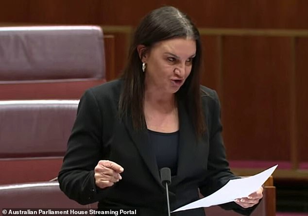 Jacqui Lambie has accused Greens senator Mehreen Faruqi of being 'religiously racist' in a scathing spray-painting in parliament