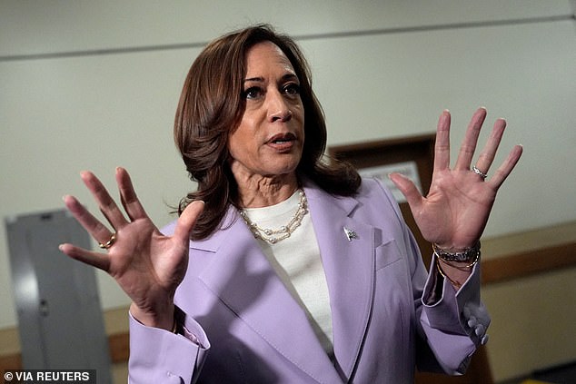 Kamala Harris has ramped up her rhetoric on the issues of crime and illegal immigration as her campaign gains momentum