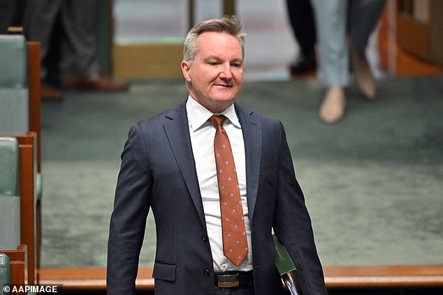 Chris Bowen (pictured) has been criticised for a 'cringe' tweet about Labor's energy cut