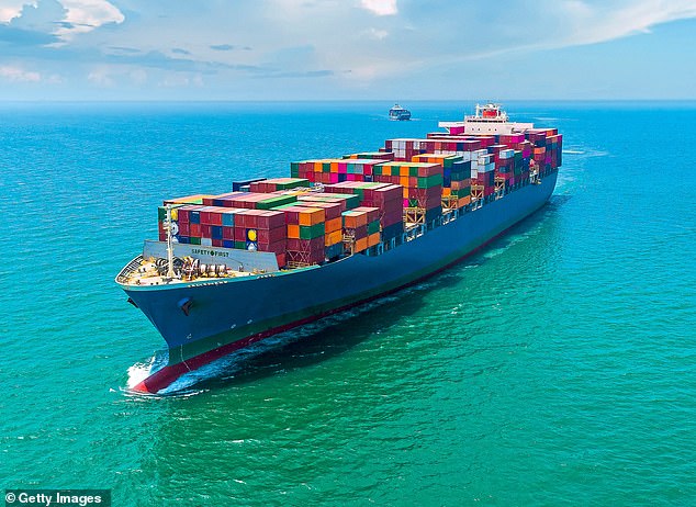 Essential: Global trade relies on container ships to transport goods around the world