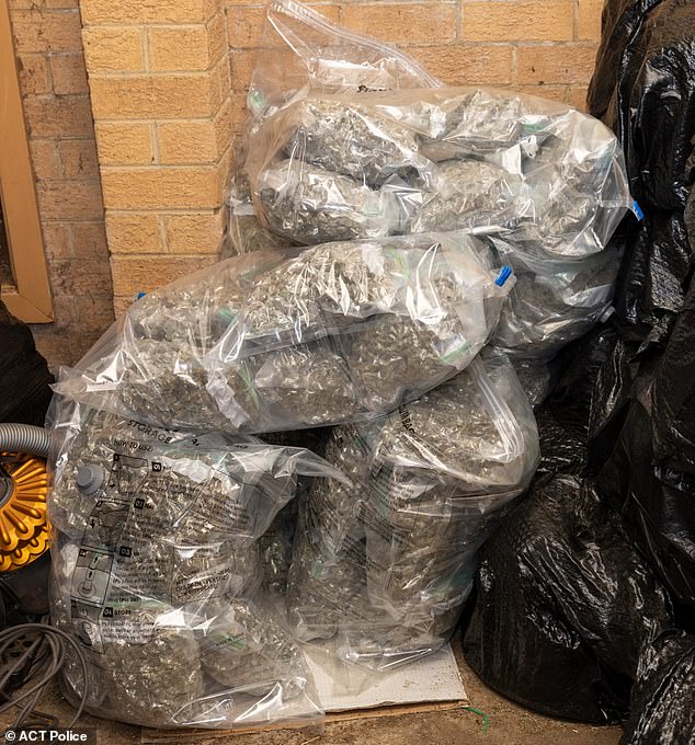 Police in Australia and New Zealand have seized almost 1,400 kilograms of illegal drugs (pictured) as part of the joint taskforce