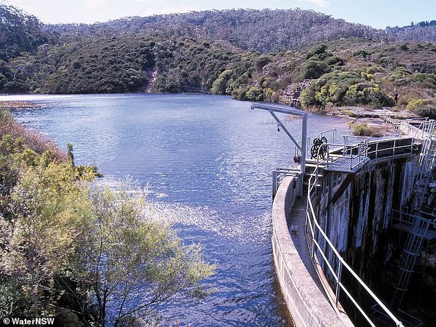 On Wednesday, WaterNSW revealed that the presence of per- and polyfluoroalkyl substances (PFAS) in the Blue Mountains water supply came from the Medlow Dam (pictured) in Medlow Bath, 108km from Sydney