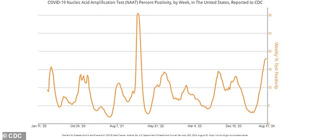 The number of Covid cases has risen in recent weeks, which experts say is likely driven by summer travel and gatherings