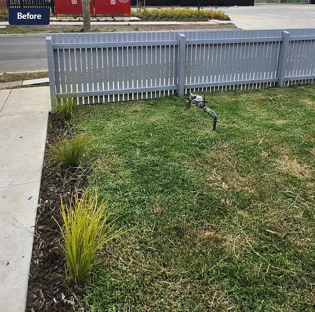 Mr Yusof said the original natural grass (pictured) laid by the developers was not in good condition and he wanted something that required little maintenance but still looked good.