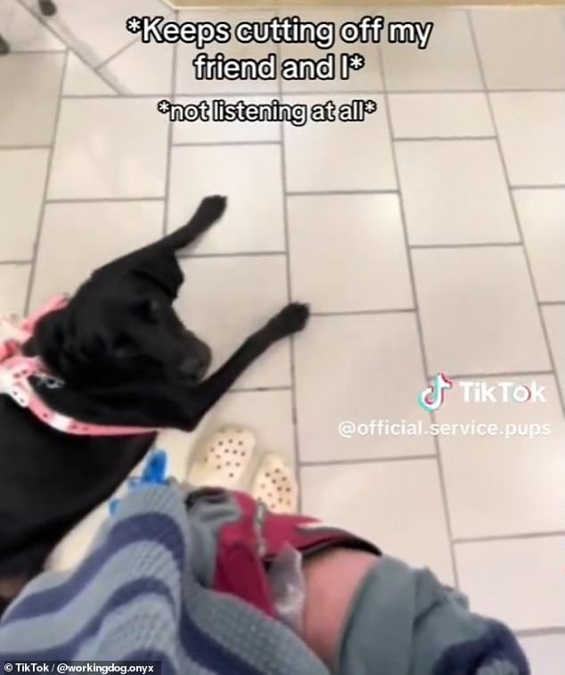 A service dog handler named Payton was filmed clashing with a seemingly clueless Macy's manager who was angry that her dog had been let loose