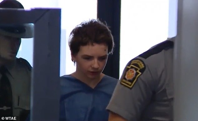 James Campbell, 13, is due in court Thursday to face trial for the murder of his 10-year-old cousin Hunter Meyers at the boys' grandmother's home in Pennsylvania