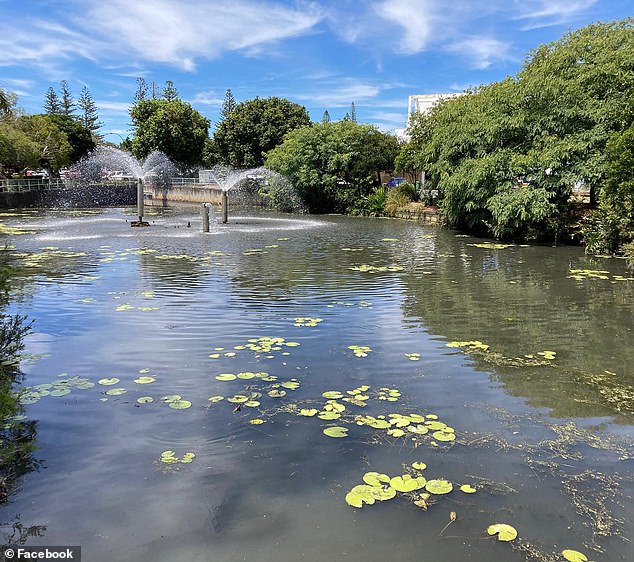 Locals took to social media to vent their anger after the creek, which normally looks like this, suddenly changed colour (pictured: Humpybong Creek at Moreton Bay in Queensland)