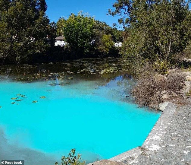 A member of the public noticed that the water in Humpybong Creek, in Moreton Bay, (pictured) in Brisbane's north, had turned aqua blue on Monday morning