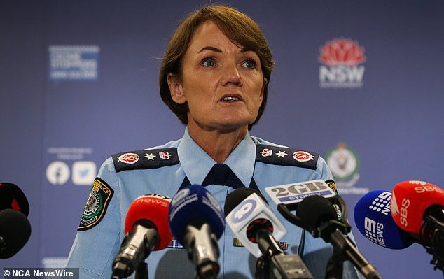 NSW Police Chief Karen Webb (pictured) has strongly denied drinking gin, in response to shocking new allegations spread in state parliament