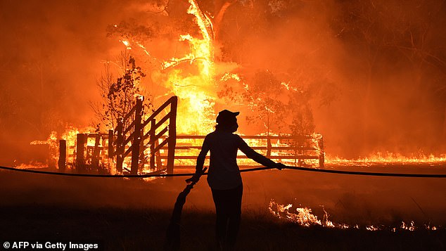 Unseasonably high temperatures combined with strong winds of more than 100km/h have fuelled the fires as the NSW Rural Fire Service (RFS) has urged landlords to halt planned fires (pictured: Residents defend a property from a bushfire in Hillsville near Taree, 350km north of Sydney on November 12, 2019)