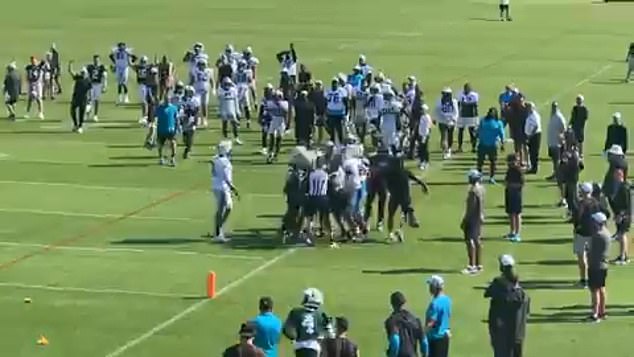 Footage has now surfaced on the social media account of a Panthers-focused podcast