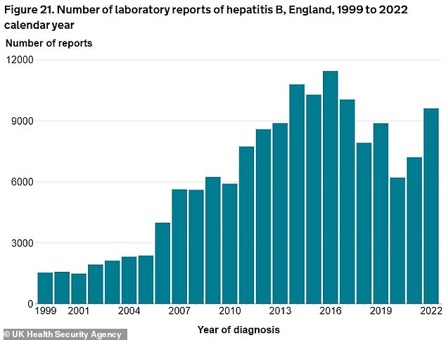 Hepatitis B, also known as the 'silent disease' or hep B, was previously thought to affect just 206,000 adults across the country. But officials from the UK Health Security Agency (UKHSA) found the figure is almost a third higher, estimated at 268,767 — or one in every 200 people in England, the majority of whom have not been diagnosed