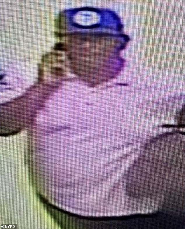 Wayne Noel, 64, was the subject of an 18-hour manhunt for a pedophile who dragged a nine-year-old girl by her hair from a Key Foods in Queens, New York, and sexually assaulted her twice.