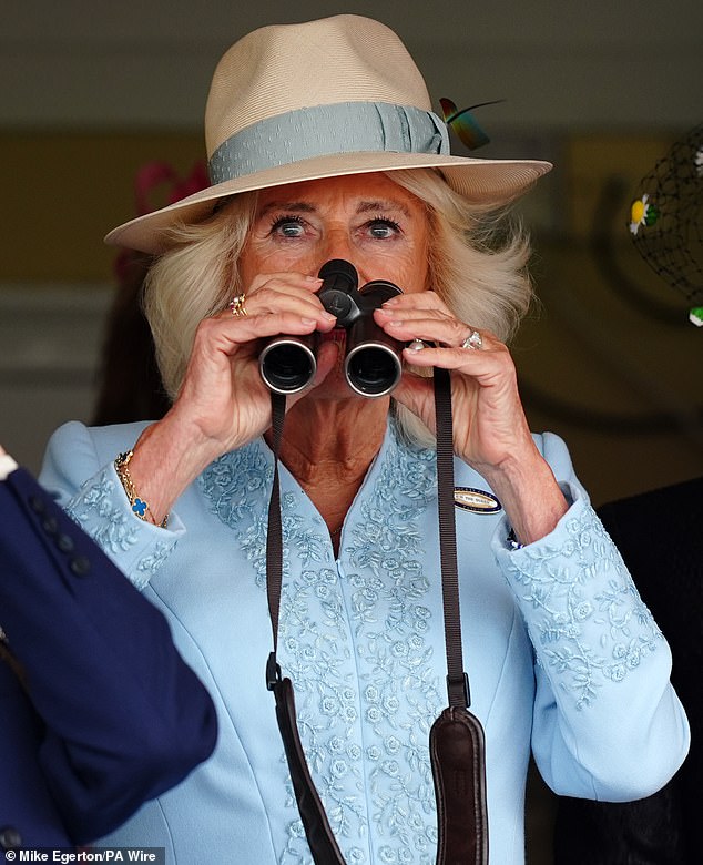 Pictured: Queen Camilla in the Royal Box at York Racecourse as she watches the Ebor Festival through binoculars