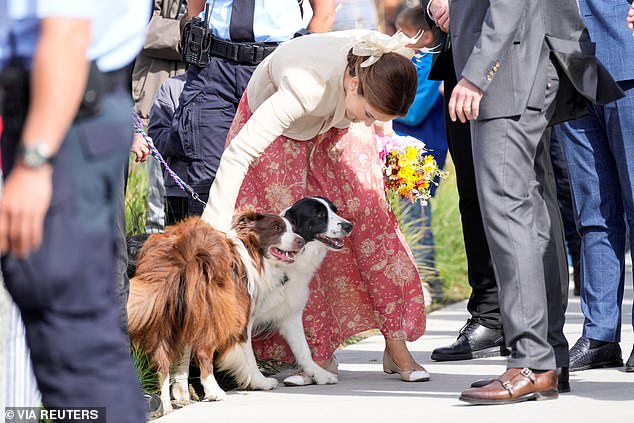 Crown Queen Mary of Denmark's love for dogs was on display during a royal visit on Wednesday, when she welcomed the affection of two Collies