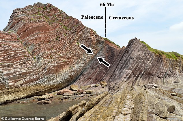 Today, the event is marked by a thin layer of sediment, the so-called K-Pg boundary, found in marine and terrestrial rocks worldwide and dating back 66 million years (shown here in Zumaia, Spain)