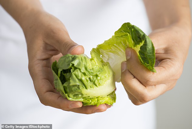 If you don't have sorrel leaves to hand, you might as well rub lettuce on your nettle stings, scientists claimed last month. While the research left Britons 'incredulous', it's not just the lettuce that has little-known medicinal uses (archive photo)