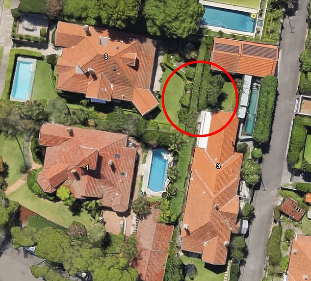 A neighbourhood dispute broke out after a Mosman homeowner allowed her lilly pilly hedge to grow higher than the dividing wall with her neighbour (pictured as a red circle), blocking her view of the city skyline