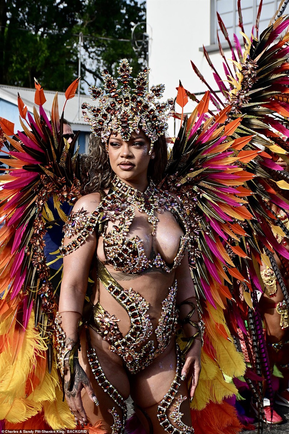 Rihanna's appearance at the carnival was her first since 2019, and after staying away due to the coronavirus pandemic and two pregnancies, she decided to make a grand return