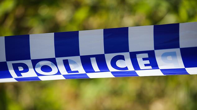 The Forensic Crash Unit has launched an investigation after a three-year-old child died in a crash in Queensland last night (stock photo)