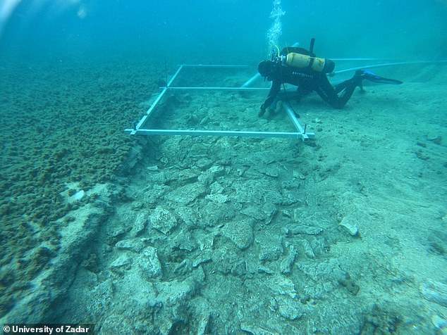 The remains of the Stone Age road were discovered beneath a layer of what scientists called 'sea slime'