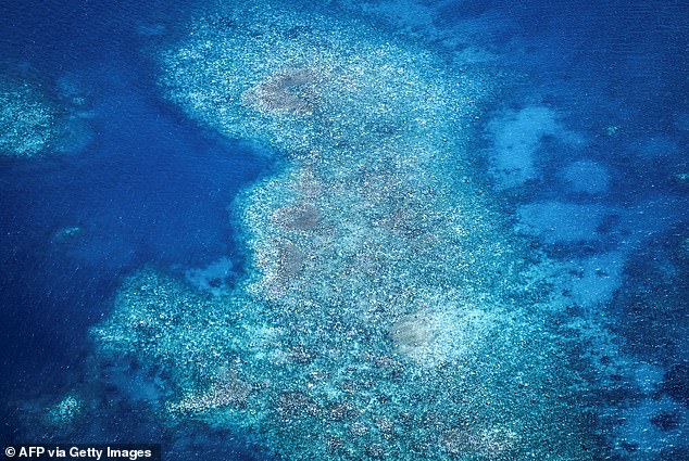 Aerial photo shows bleached and dead coral around Lizard Island on the Great Barrier Reef, April 4, 2024. Researchers warned that if warming continues, the iconic ecosystem could disappear in the next 30 years.