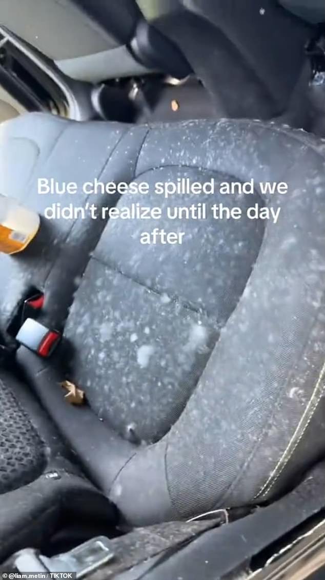 Liam Metin (@liam.metin) posted a video explaining how the interior of his parents' car became infected with mold after he unknowingly spilled blue cheese crumbles in his parents' Kia