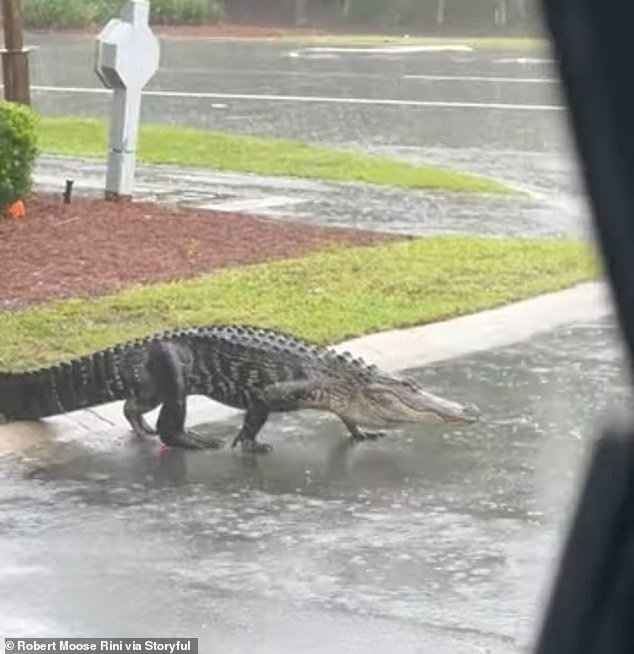 Southerners issued urgent warning in wake of Storm Debby as