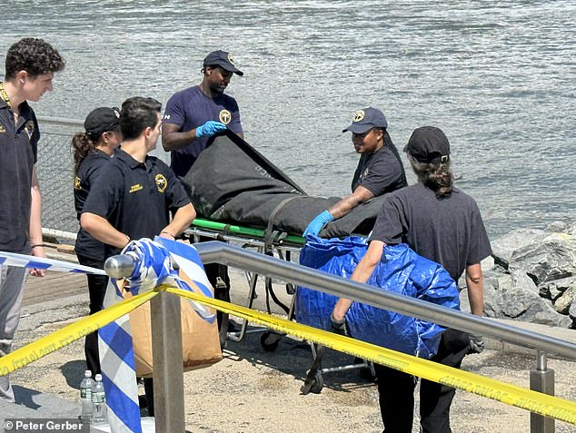 Human remains, including a skull and some bones, were found around 8:45 a.m. along the shoreline of Brooklyn Bridge Park, near Dock Street