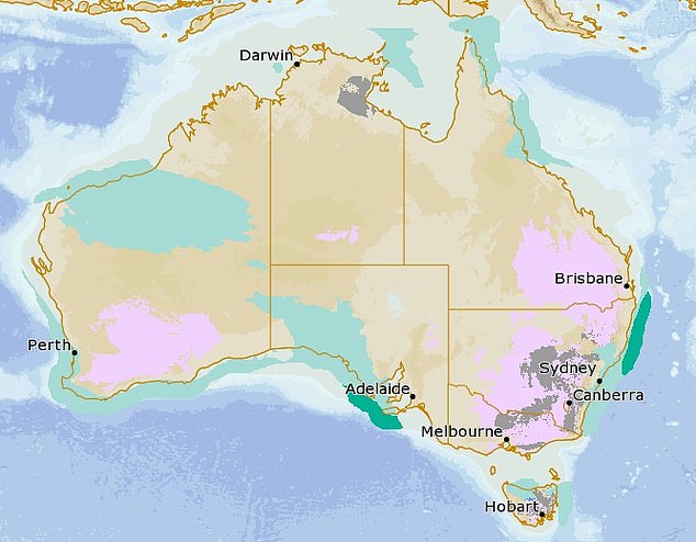 Large areas from central Queensland to southern Victoria will see frost on Friday morning, as will southern Western Australia (weather forecast for Friday morning pictured: frost in pink, fog in grey, rain in light green, possible storms in dark green)