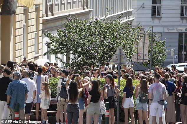 Fans of American singer Taylor Swift - swifties - stand and sing around the Swiftie Tree in Cornelius Strasse in Vienna