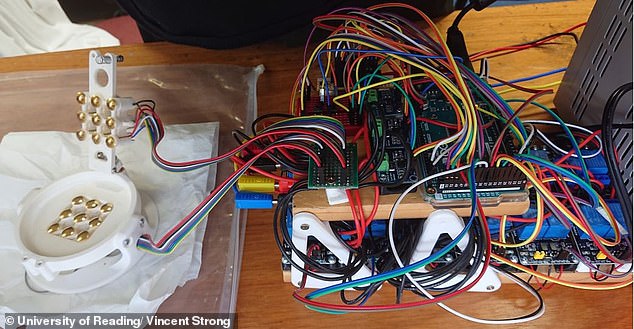 The researchers placed the jelly in a grid of electrodes (left in the photo), allowing the jelly to simulate the movement of the paddle and ball through electrical stimulation