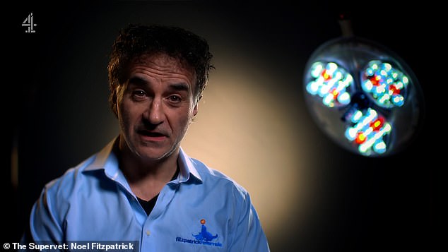 The final episode of The Supervet was thrown into chaos when star Noel Fitzpatrick suffered a horrific injury during emergency surgery on an animal