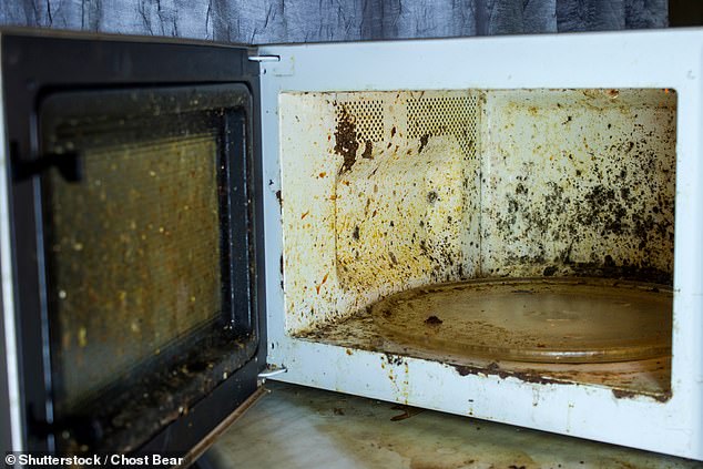 Whether it's heating up a ready-made meal or reheating a cold cup of tea, many of us use our microwaves multiple times a day. But a new study could make you think twice before using your appliance (stock image)