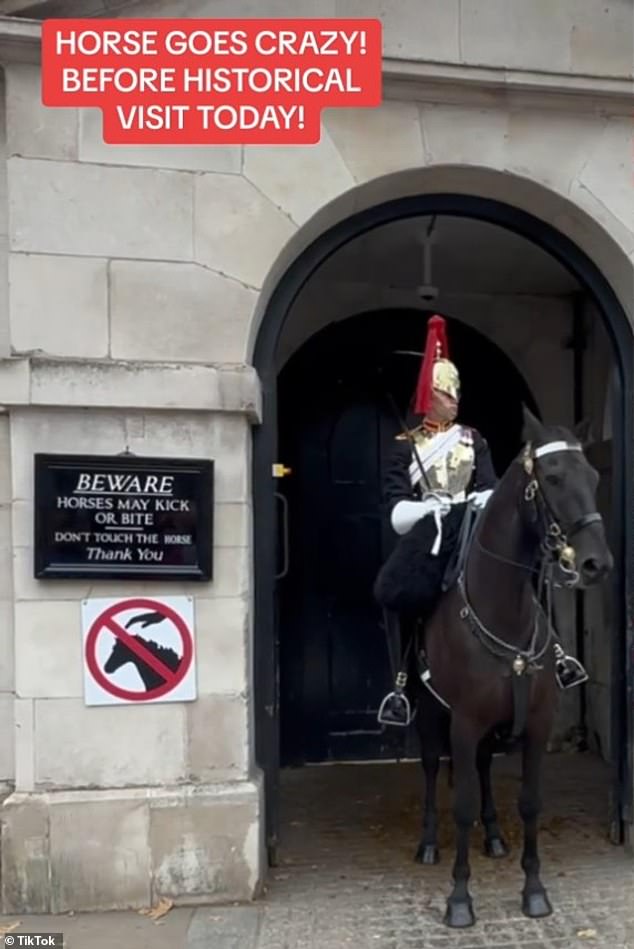 Like many tourists, she got very close to the horse, despite the large signs next to it warning visitors not to go near the horse due to the risk of biting and kicking.