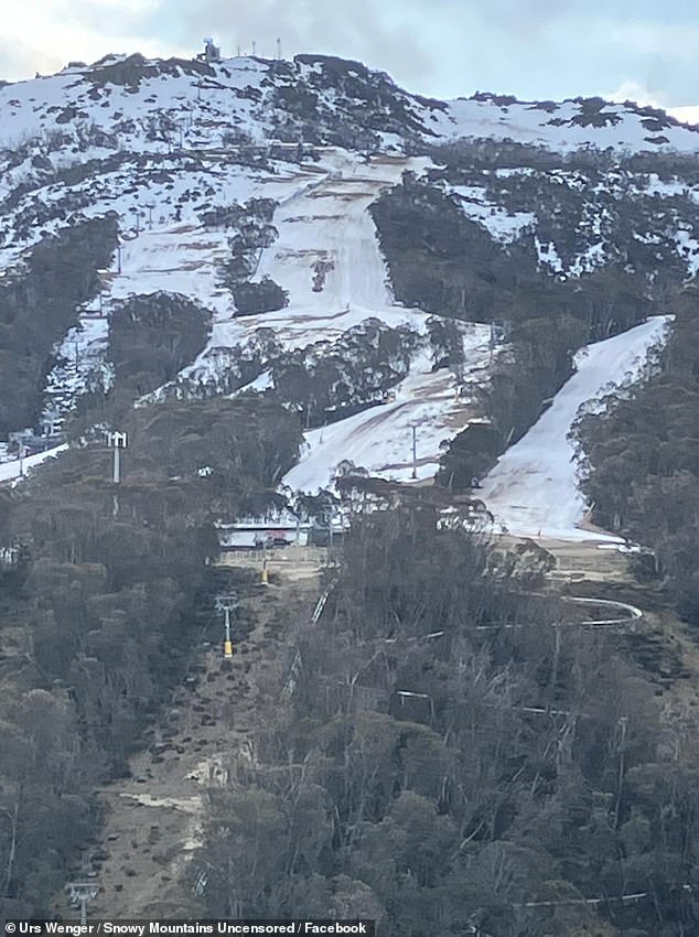 The photos shared on the Facebook group 'Snowy Mountains Uncensored' show little to no snow, with large swaths of bare ground and brush dominating the area.