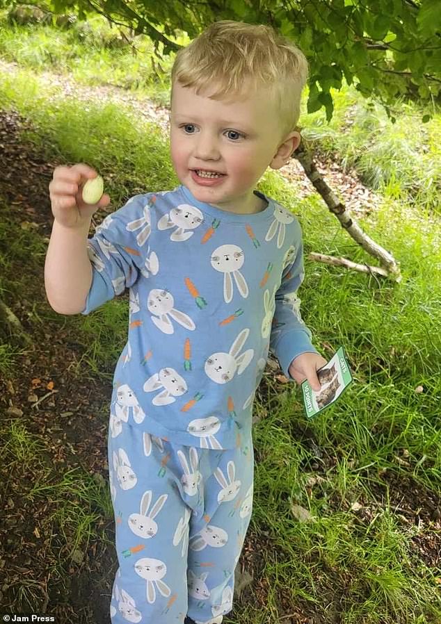 Three-year-old Cole Pugsley can't go on holiday abroad or even sit in the sunlight from a window without suffering a painful reaction