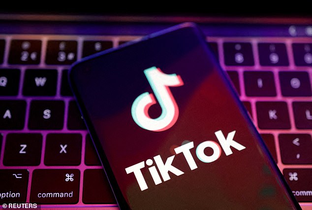 TikTok has announced that it will finally add group chats to its messaging options, allowing users to share videos with up to 32 people at once (stock image)