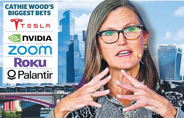 Top picker: Cathie Wood is best known for her bets on cutting-edge technology companies