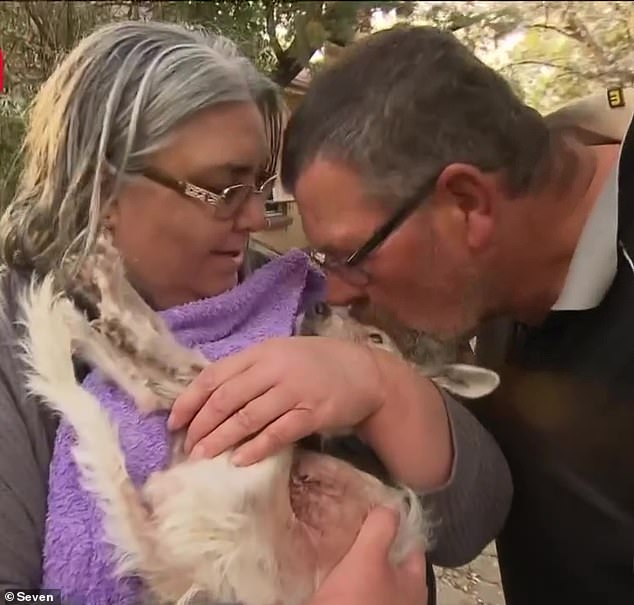 Owners Heather Coombes and Guy Frantzen had an emotional reunion with their 'fur baby' Lolly on Wednesday before tragedy struck a day later