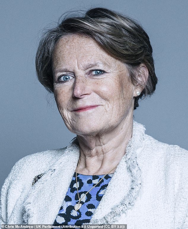 Baroness Jenkin of Kennington (pictured) is understood to have raised general concerns about the dress code at the DWP and also in response to specific issues raised by civil servants about Whitehall's diversity ambassador