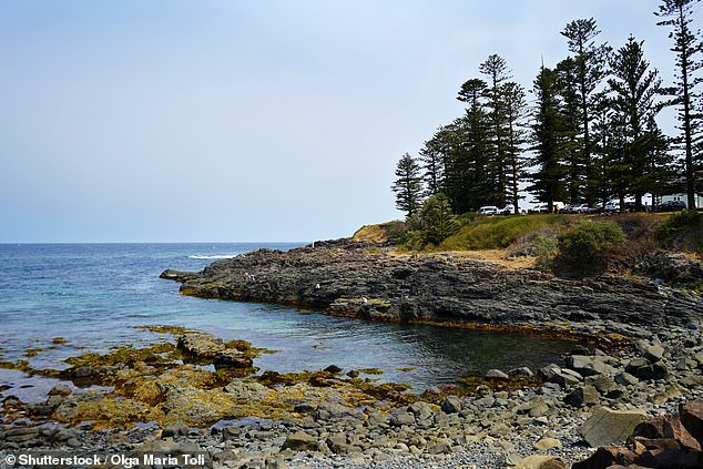 The 47-year-old man and his 17-year-old son were last seen around 5.30pm on Monday night after travelling to Storm Bay, south of the Kiama Blowhole on the NSW south coast, at 5pm on Monday