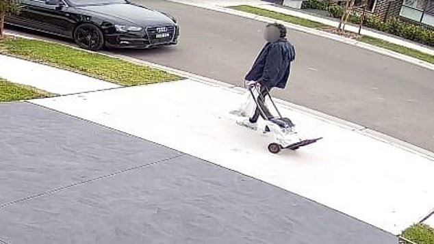 CCTV footage from a house where one of the packages was received shows a man in a dark blue jacket and a trolley (pictured) throwing the package into the resident's mailbox.