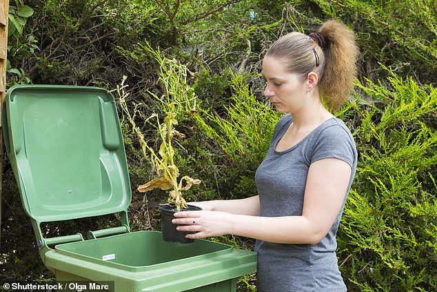 A Victorian government plan to ban the use of compostable plastic bags in household food waste bins has been criticised by the state's opposition. (stock photo)