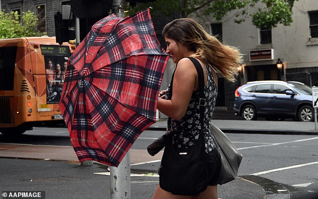 The Bureau of Meteorology has issued severe weather warnings for southeastern Australia with possible wind gusts of up to 130km/h (stock image)